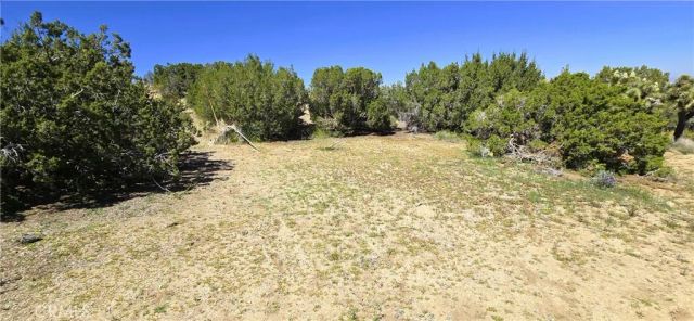 0 Sunnyslope, Pinon Hills, CA 92372