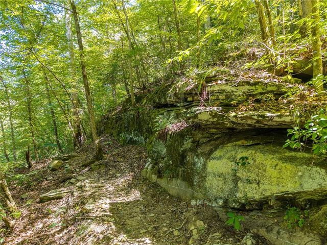 1275 Marie Drive, Talking Rock, GA 30175