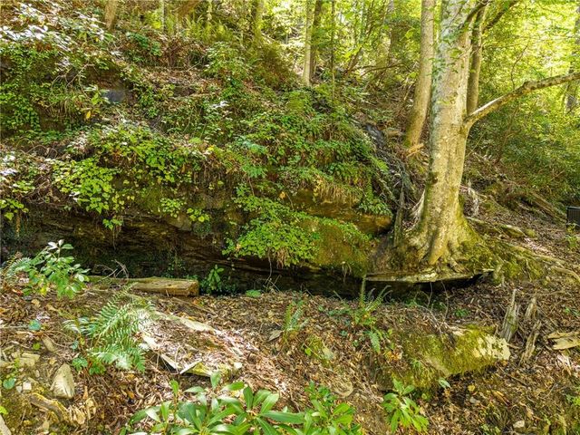 1275 Marie Drive, Talking Rock, GA 30175