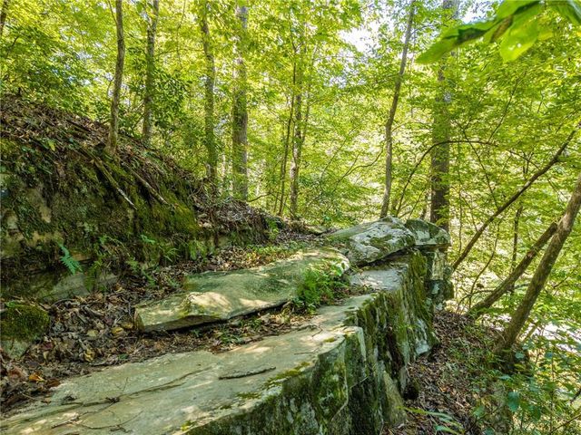 1275 Marie Drive, Talking Rock, GA 30175
