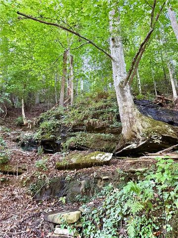 1275 Marie Drive, Talking Rock, GA 30175