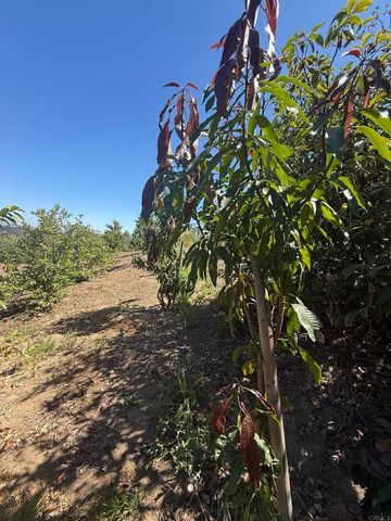 Hawks View Way, Fallbrook, CA 92028