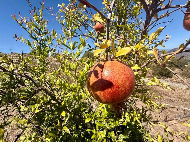 Hawks View Way, Fallbrook, CA 92028