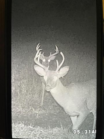 271 Blue Bird Lane, Hyden, KY 41749