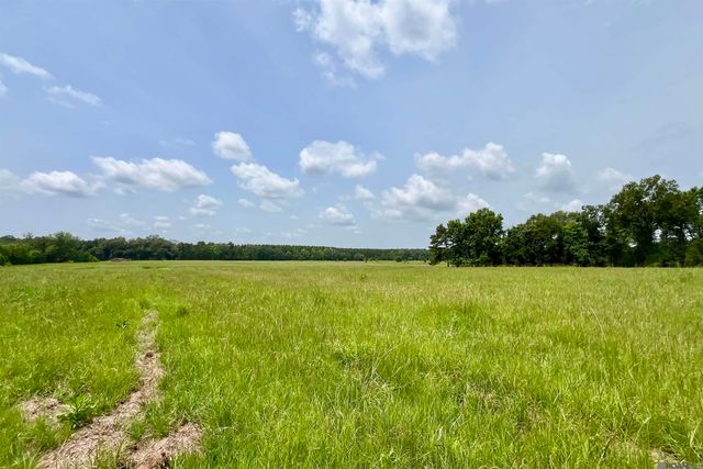 03 Hokaday Rd, Slaughter, LA 70777