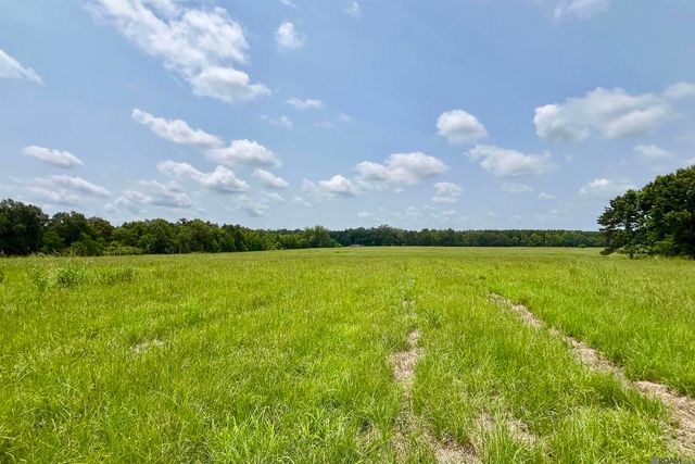 03 Hokaday Rd, Slaughter, LA 70777