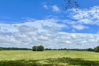 03 Hokaday Rd, Slaughter, LA 70777
