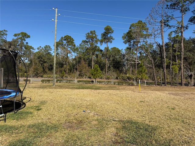 4234 BRIDLE BOOSTER WAY, Lakeland, FL 33801