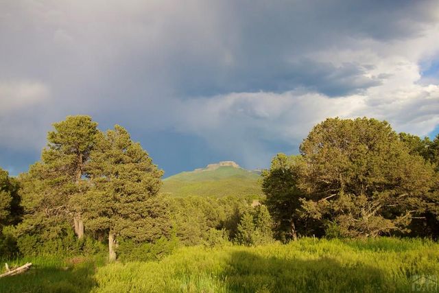 9500 County Rd 20.8, Trinidad, CO 81082