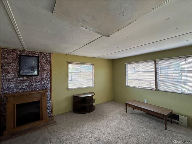 319 Palisade Ct, Crestone, CO 81131