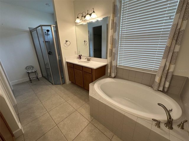 1355 ZEEK RIDGE STREET, Clermont, FL 34715