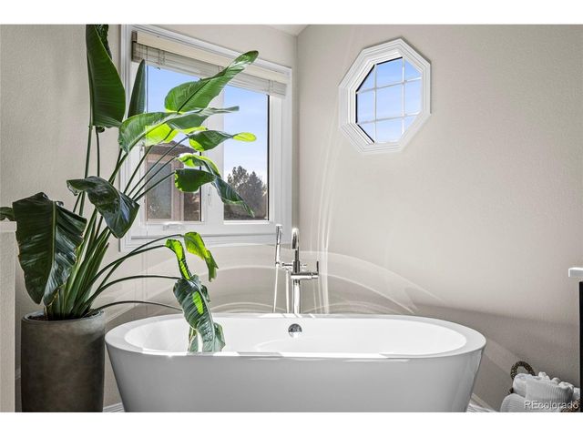 8555 Green Island Cir, Lone Tree, CO 80124