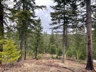 KIDA Rd 4, White Salmon, WA 98672
