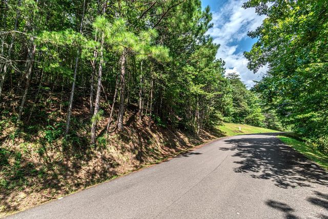 4.7AC Mountain Creek Hollow Drive, Talking Rock, GA 30175