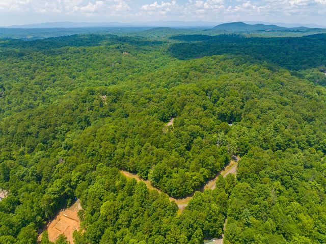 4.7AC Mountain Creek Hollow Drive, Talking Rock, GA 30175