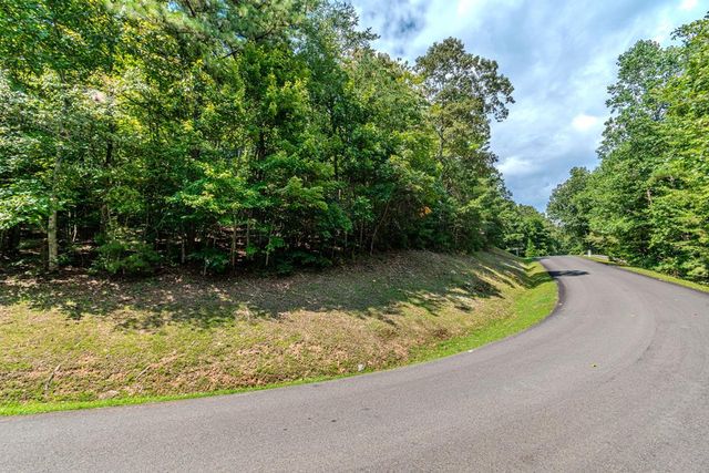 4.7AC Mountain Creek Hollow Drive, Talking Rock, GA 30175