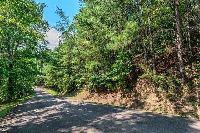 4.7AC Mountain Creek Hollow Drive, Talking Rock, GA 30175