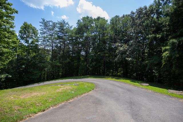4.7AC Mountain Creek Hollow Drive, Talking Rock, GA 30175