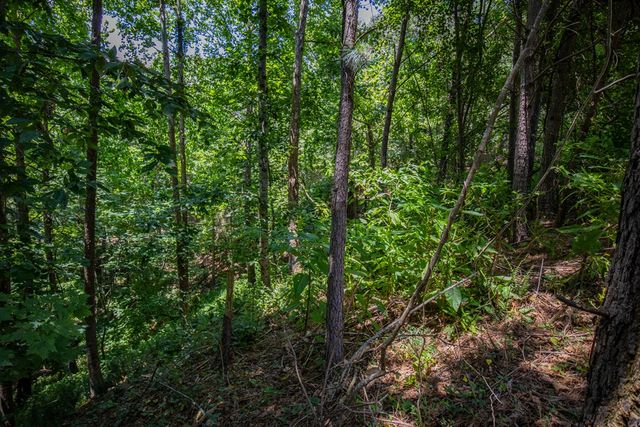 4.7AC Mountain Creek Hollow Drive, Talking Rock, GA 30175