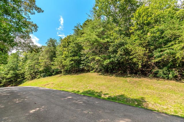 4.7AC Mountain Creek Hollow Drive, Talking Rock, GA 30175