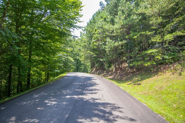 4.7AC Mountain Creek Hollow Drive, Talking Rock, GA 30175