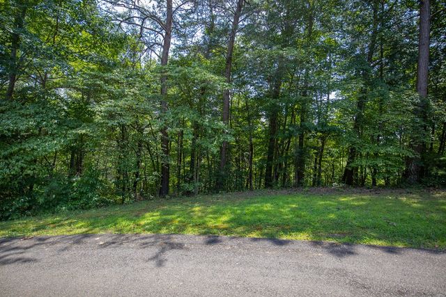 4.7AC Mountain Creek Hollow Drive, Talking Rock, GA 30175