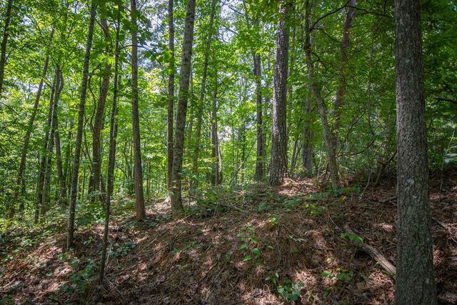 4.7AC Mountain Creek Hollow Drive, Talking Rock, GA 30175