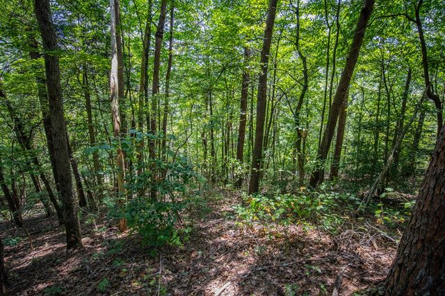 4.7AC Mountain Creek Hollow Drive, Talking Rock, GA 30175