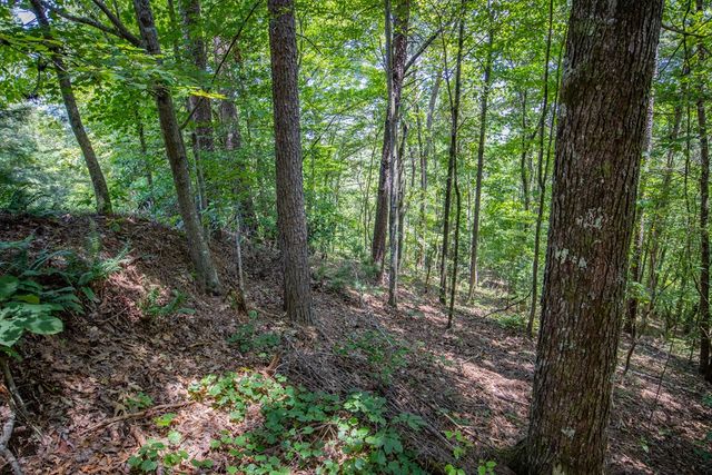 4.7AC Mountain Creek Hollow Drive, Talking Rock, GA 30175