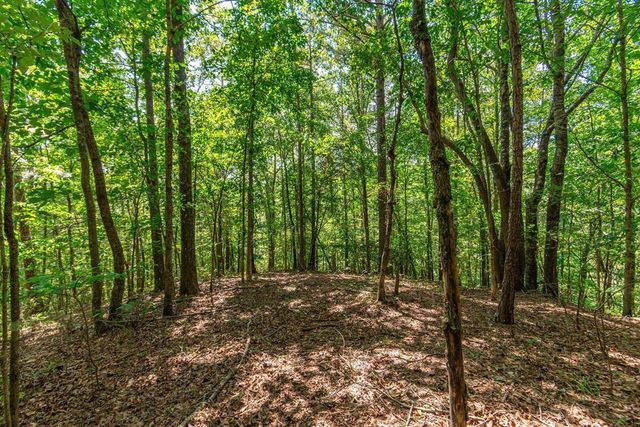 4.7AC Mountain Creek Hollow Drive, Talking Rock, GA 30175