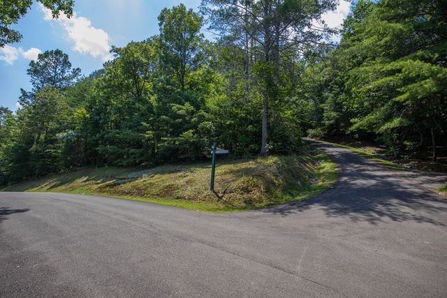 4.7AC Mountain Creek Hollow Drive, Talking Rock, GA 30175