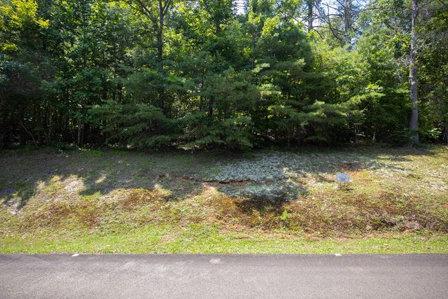 4.7AC Mountain Creek Hollow Drive, Talking Rock, GA 30175