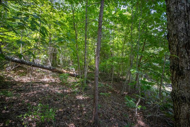 4.7AC Mountain Creek Hollow Drive, Talking Rock, GA 30175