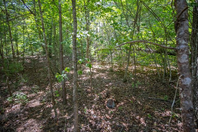 4.7AC Mountain Creek Hollow Drive, Talking Rock, GA 30175