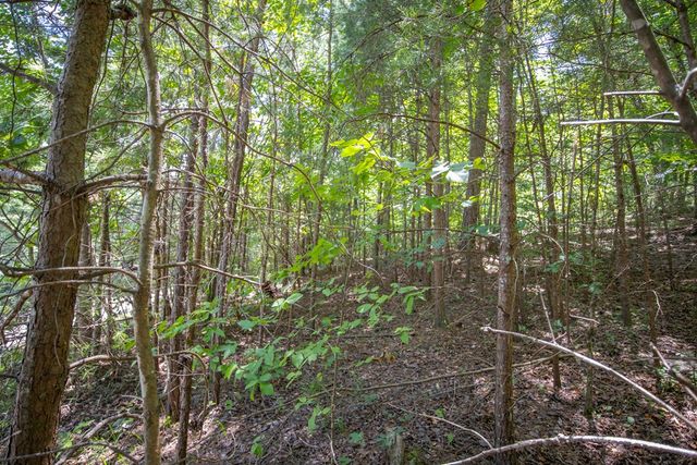 4.7AC Mountain Creek Hollow Drive, Talking Rock, GA 30175