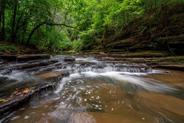 4.7AC Mountain Creek Hollow Drive, Talking Rock, GA 30175