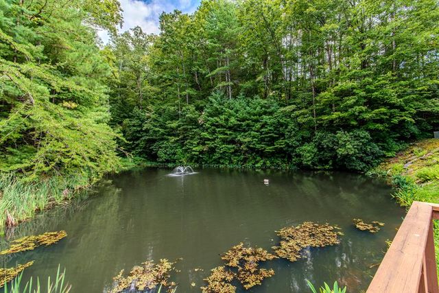 4.7AC Mountain Creek Hollow Drive, Talking Rock, GA 30175