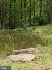 115 OVENTOP MOUNTAIN LN, Sperryville, VA 22740