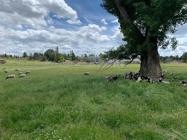 61900 Anker Lane, Bend, OR 97702