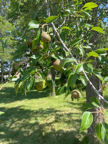 61900 Anker Lane, Bend, OR 97702