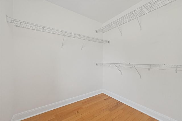 114 Buck Trail Place, Spring, TX 77389