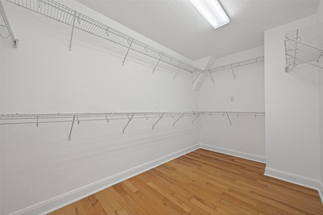 114 Buck Trail Place, Spring, TX 77389