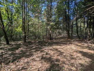 N/A N Forest Lake Drive, Alger, MI 48610