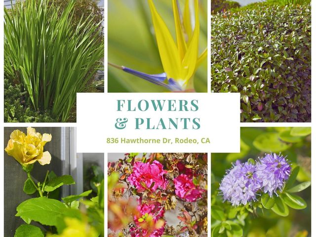 836 Hawthorne Dr, Rodeo, CA 94572