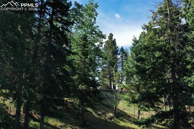 377 Ridge Road, Divide, CO 80814