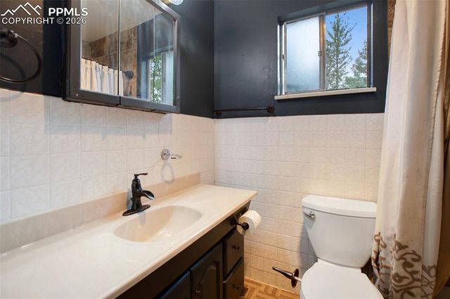 377 Ridge Road, Divide, CO 80814