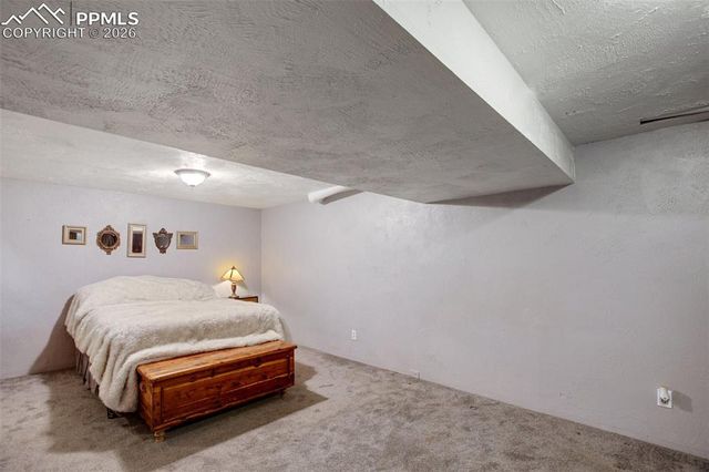 377 Ridge Road, Divide, CO 80814