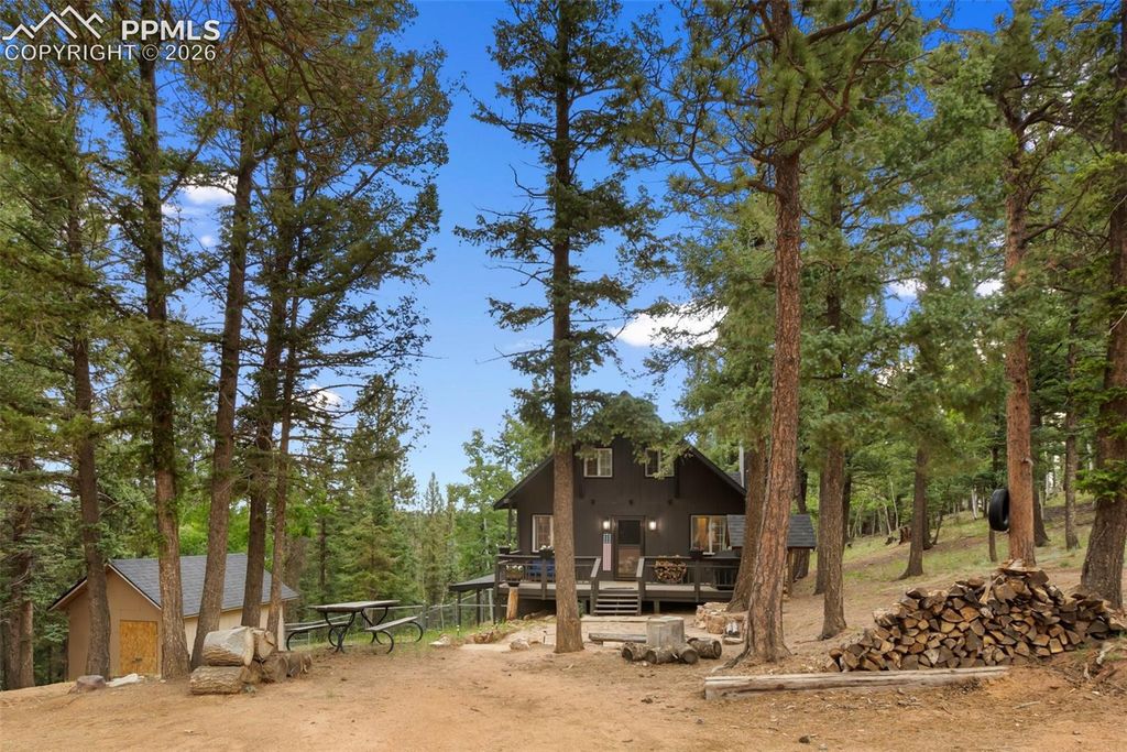 377 Ridge Road, Divide, CO 80814 — photo 4