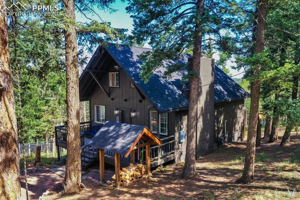 377 Ridge Road, Divide, CO 80814 — photo 5