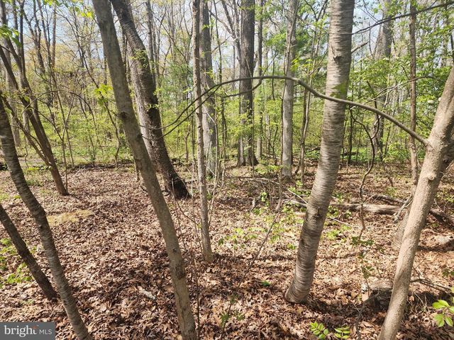 733 DOGWOOD DR, Green Lane, PA 18054